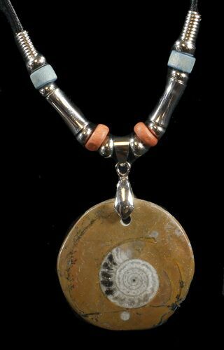 Polished Goniatite Fossil Necklace #43083